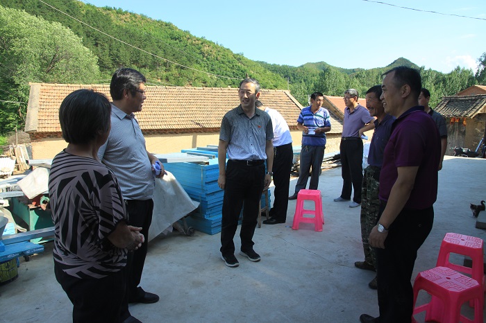 IMG_0224.JPG IMG_0224.JPG