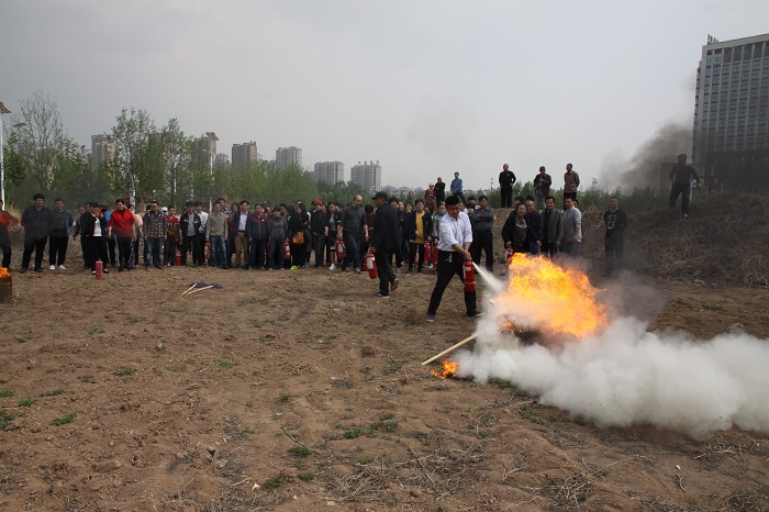 IMG_8240.JPG IMG_8240.JPG